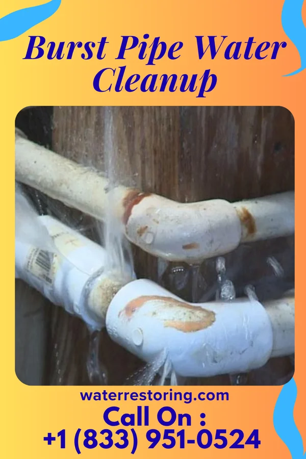 Burst Pipe Water Cleanup in Rushville, NY