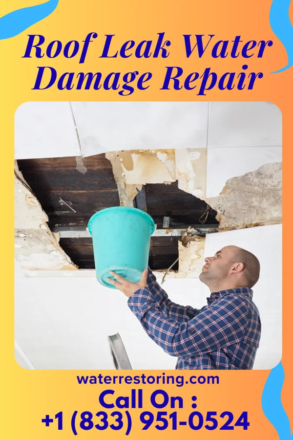 Roof Leak Water Damage Repair in Rushville, NY