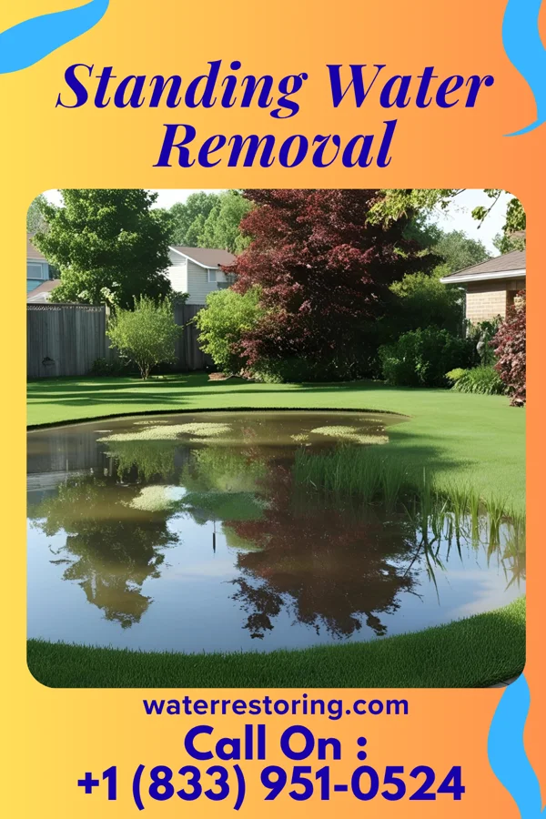 Standing Water Removal in Rushville, NY